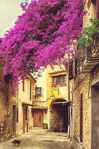 Provence