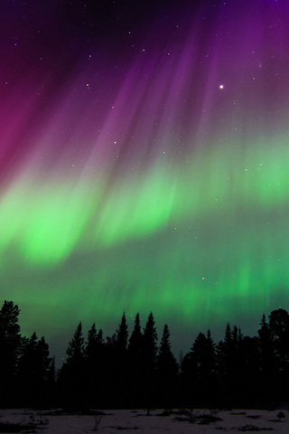 Northern Lights