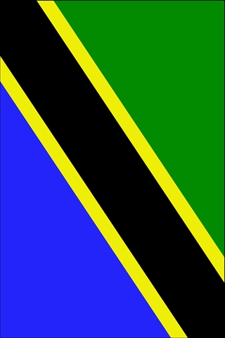 Tanzania Flag