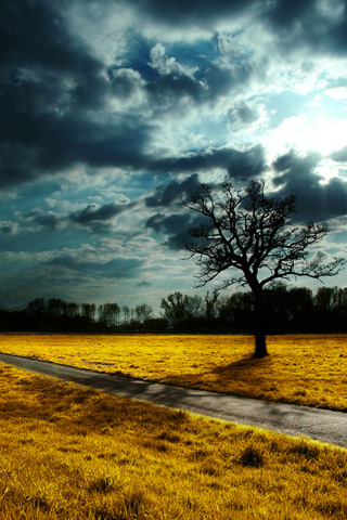 Dusk Tree