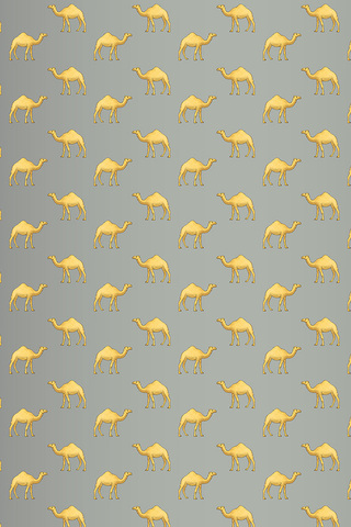 Camel Pattern