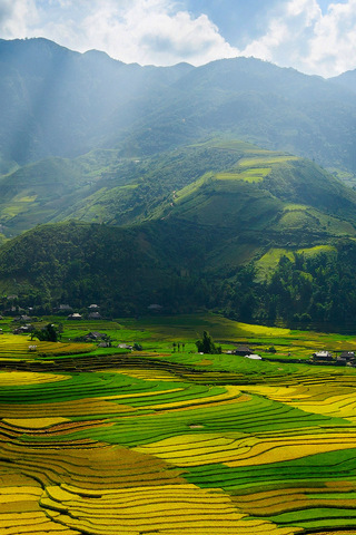 Rice Terraces