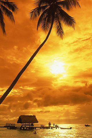 Tropical Beach Sunset