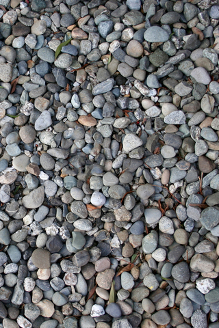 Pebbles