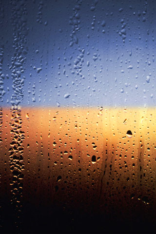 Window Rain