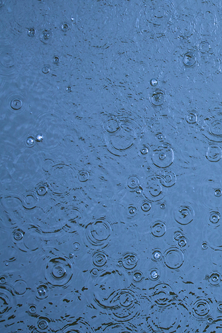 Rain Drop Ripples