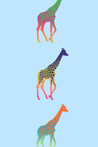 Giraffe Pattern