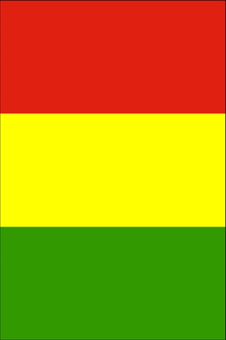 Guinea Flag