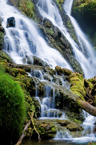 Serene Waterfall
