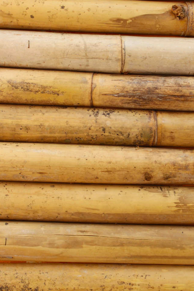 Bamboo Wallpaper