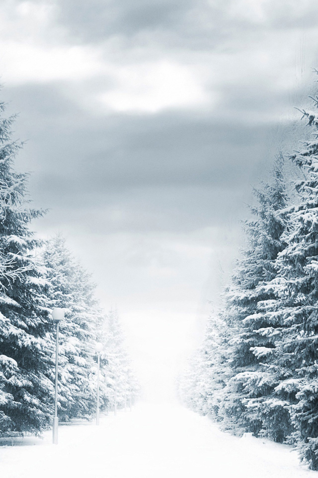 Winter Background Wallpaper