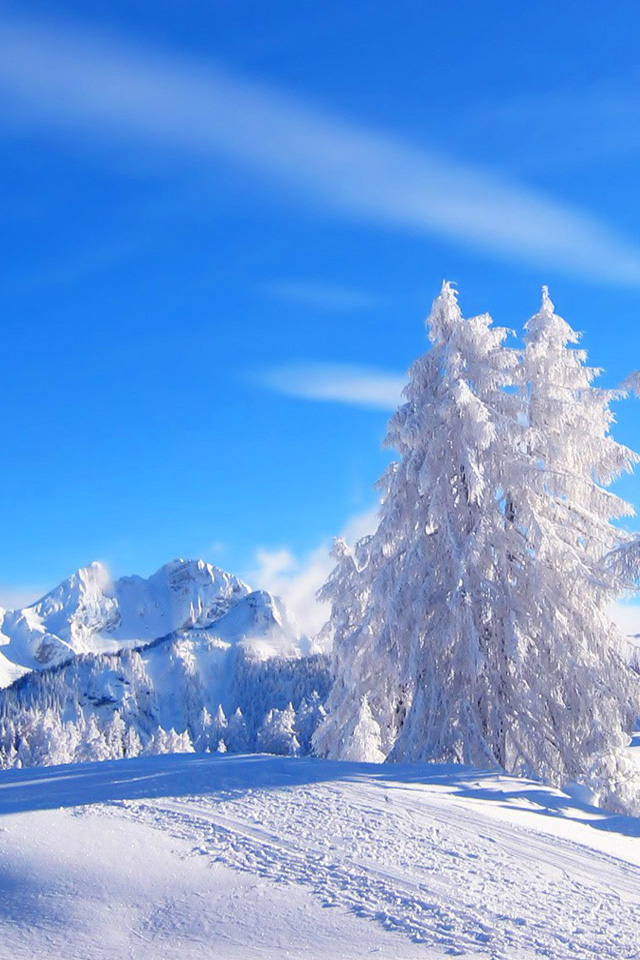 Winter Landscape Wallpaper