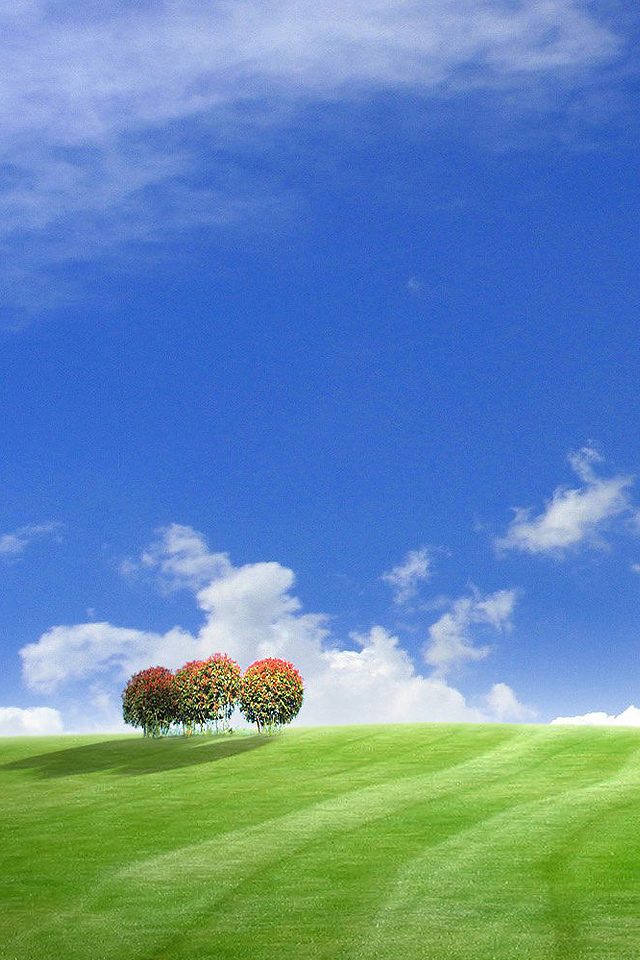 Summer Landscape Wallpaper