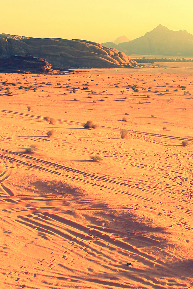 Desert Sand Wallpaper