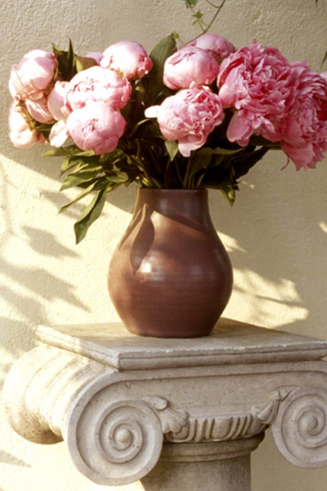 Flower on Vase Wallpaper