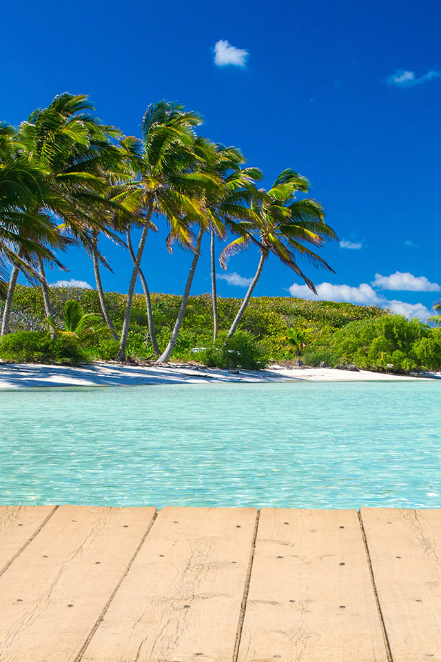 Beach and Dock Wallpaper