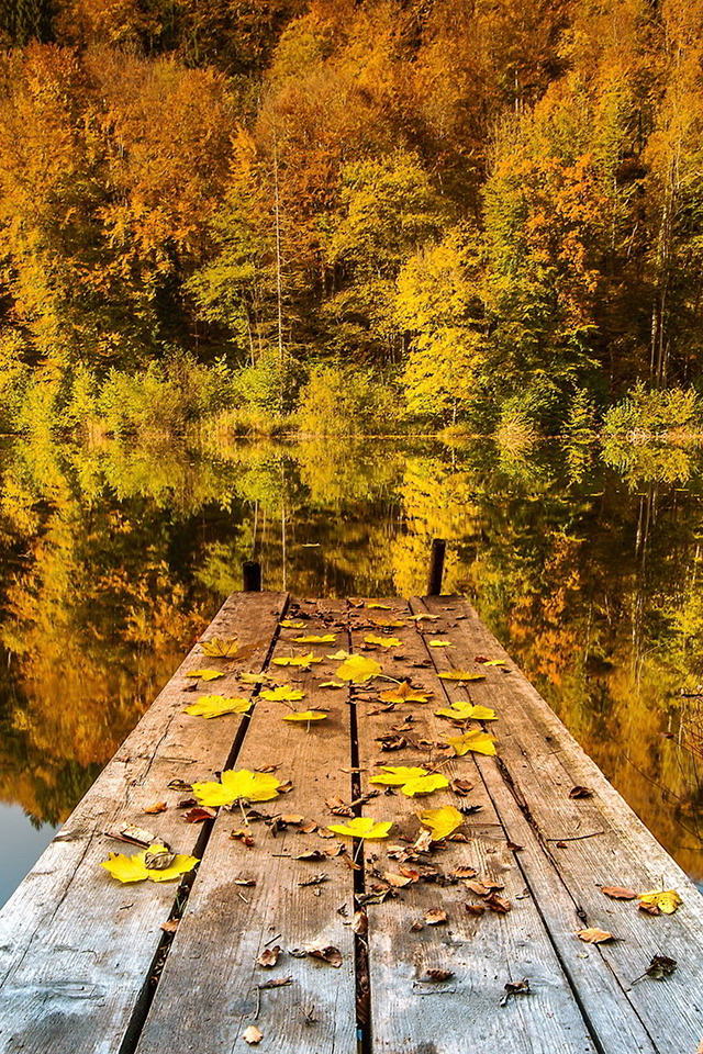 Autumn Lake Wallpaper