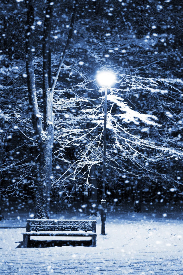 Snowy Park Wallpaper