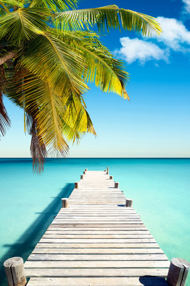 Paradise Dock Wallpaper