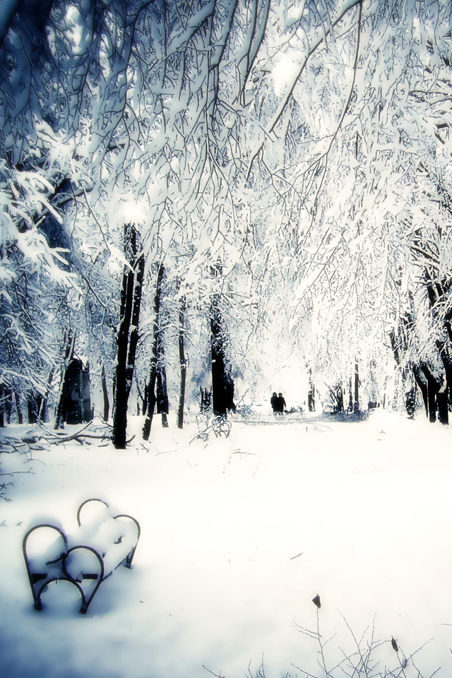 Snowy Park Wallpaper