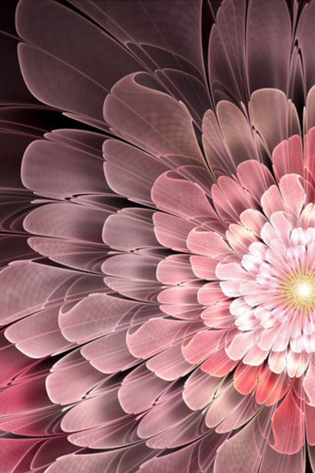 Abstract Flower Wallpaper