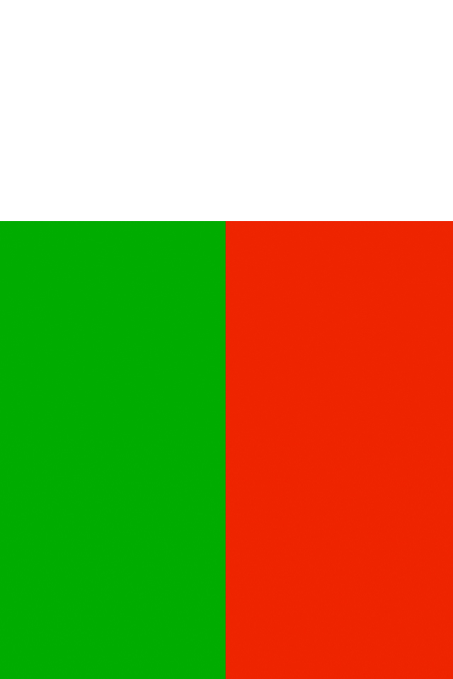 Madagascar Flag Wallpaper