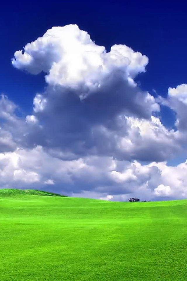 Green Grass Wallpaper