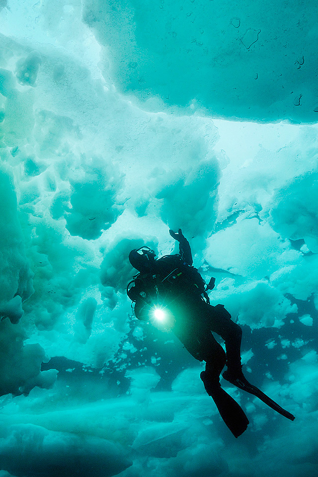 Diver Wallpaper