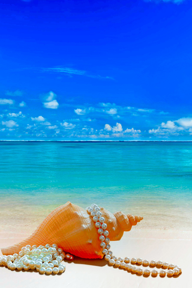 Beach Shell Wallpaper