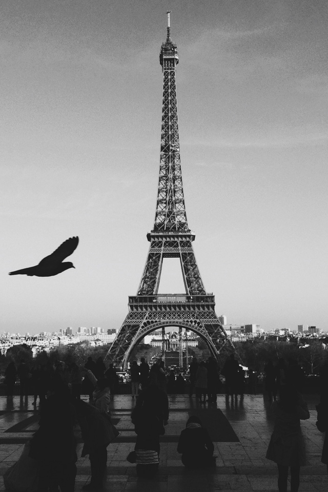 Paris Love Wallpaper