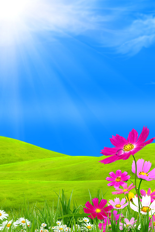 Spring View Wallpaper