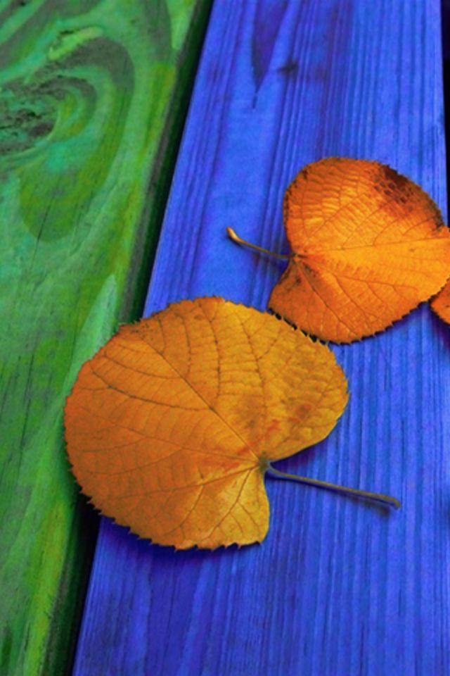 Autumn Golden Leaf Wallpaper