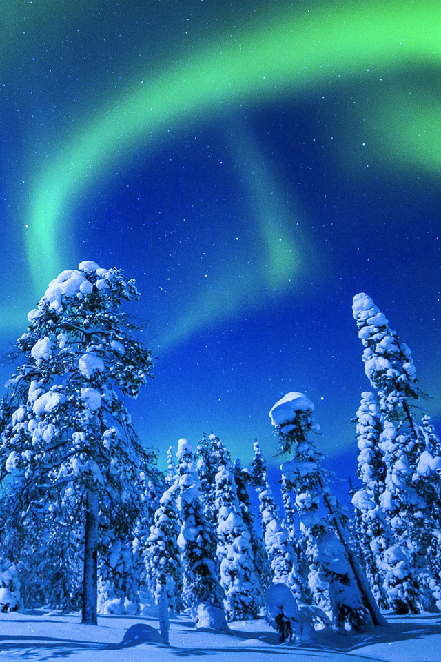 Winter Northern Lights Wallpaper