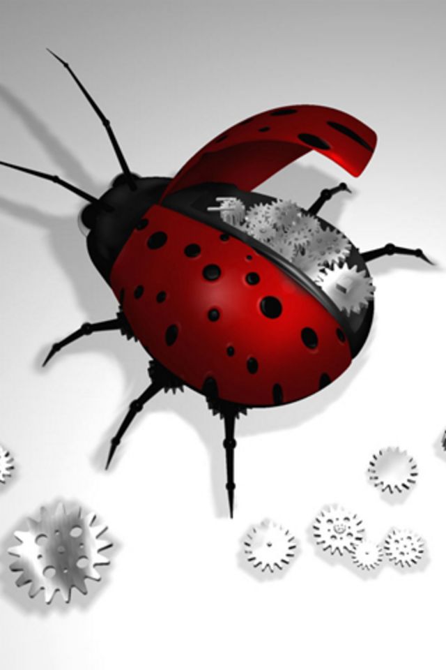 Bug Wallpaper