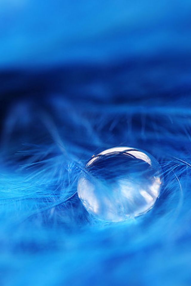 Water Drop Wallpaper