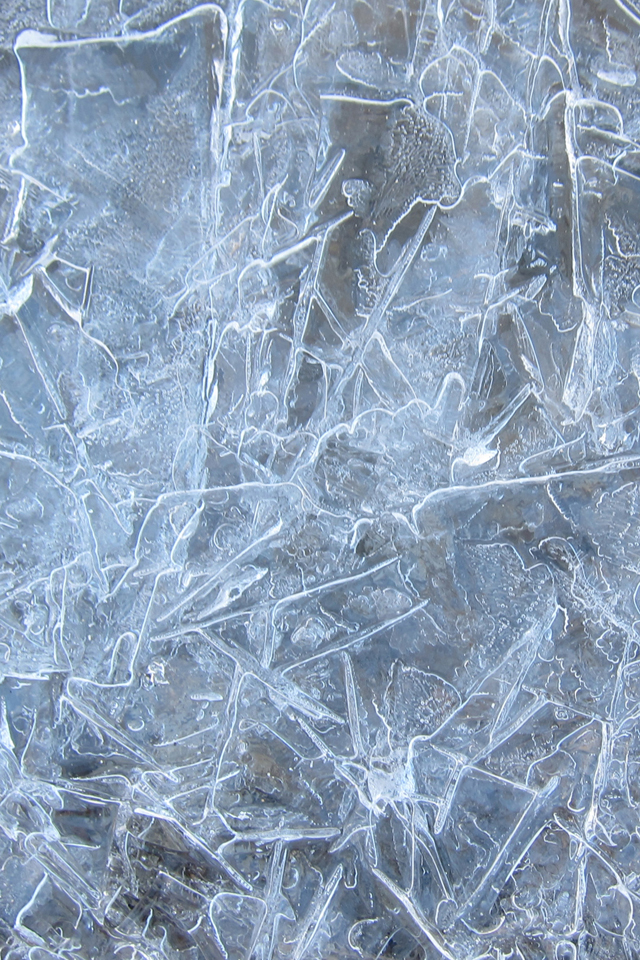 Frozen Ice Wallpaper