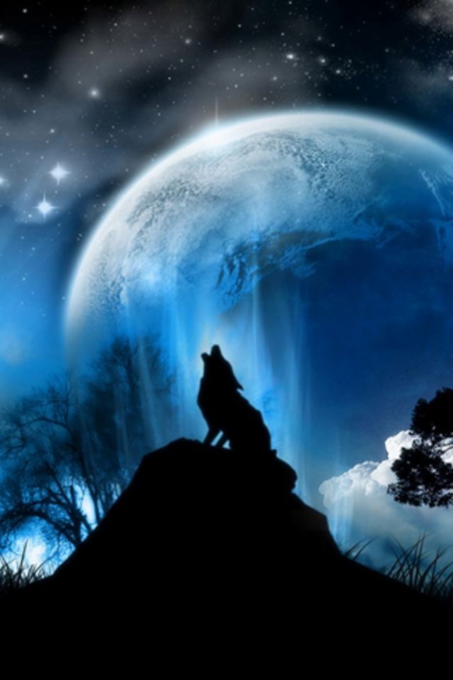 Howling Wolf Wallpaper