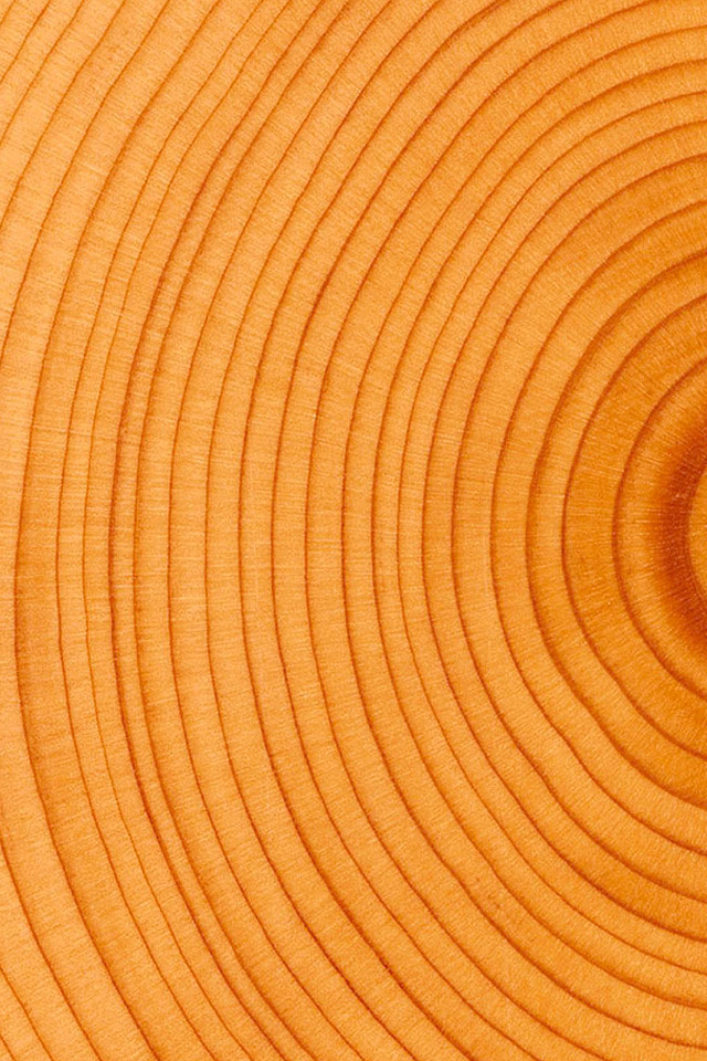 Circular Wallpaper