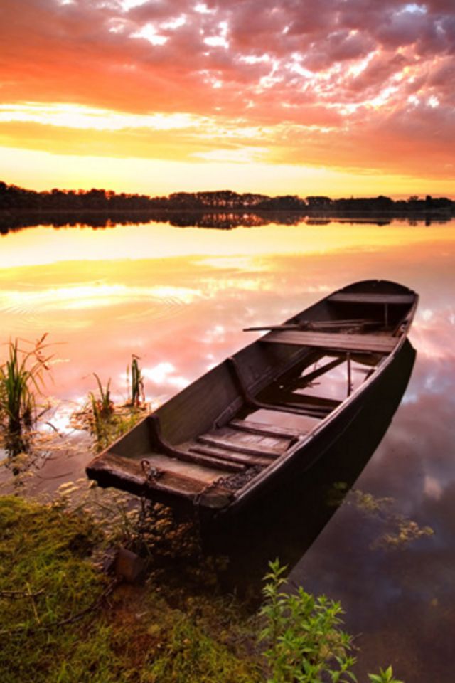 Boat on Shore Wallpaper