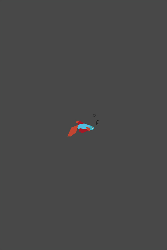 Fish Wallpaper