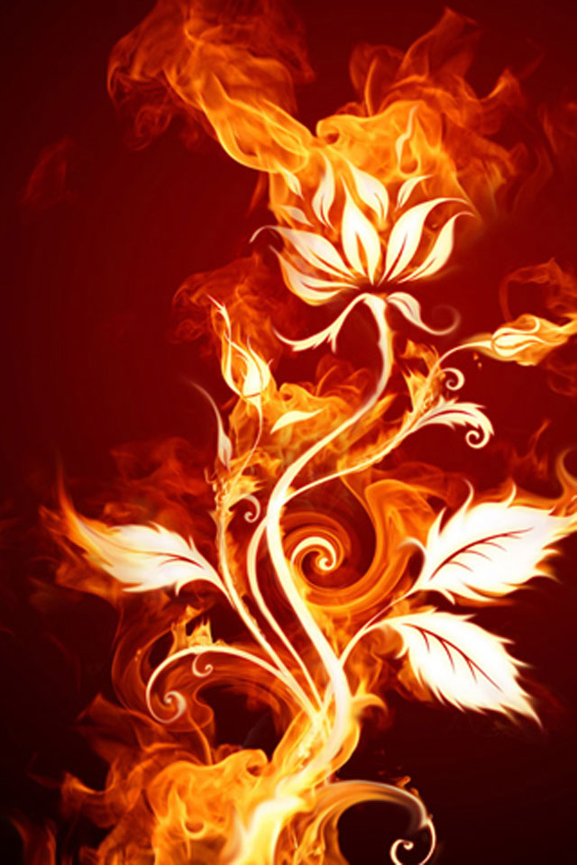 Flower Fire Wallpaper