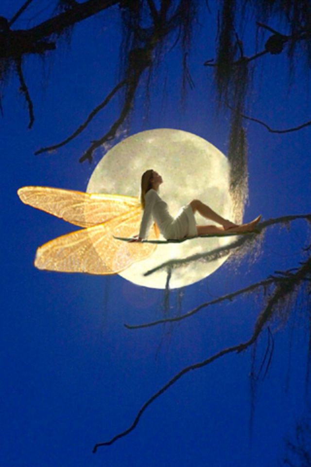 Fairytale Moon Wallpaper