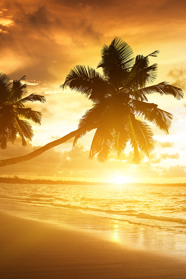 Sunset Beach Wallpaper