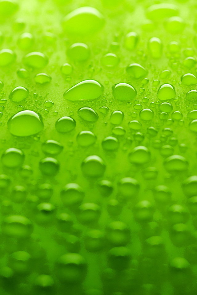 Green Surface Wallpaper