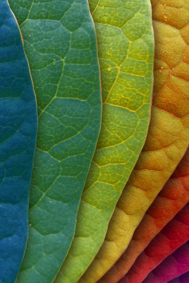 Panton Leaves Wallpaper