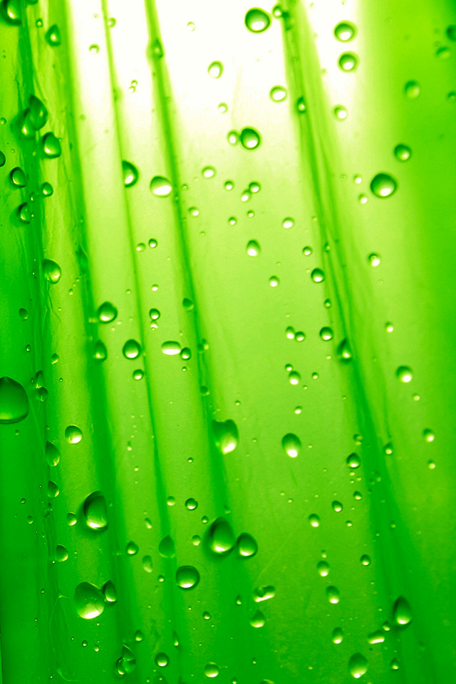 Simply Green Wallpaper