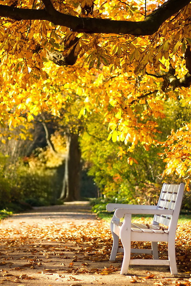 Autumn Park Wallpaper