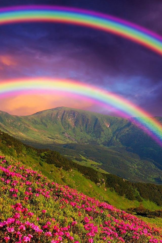 Double Rainbow Wallpaper