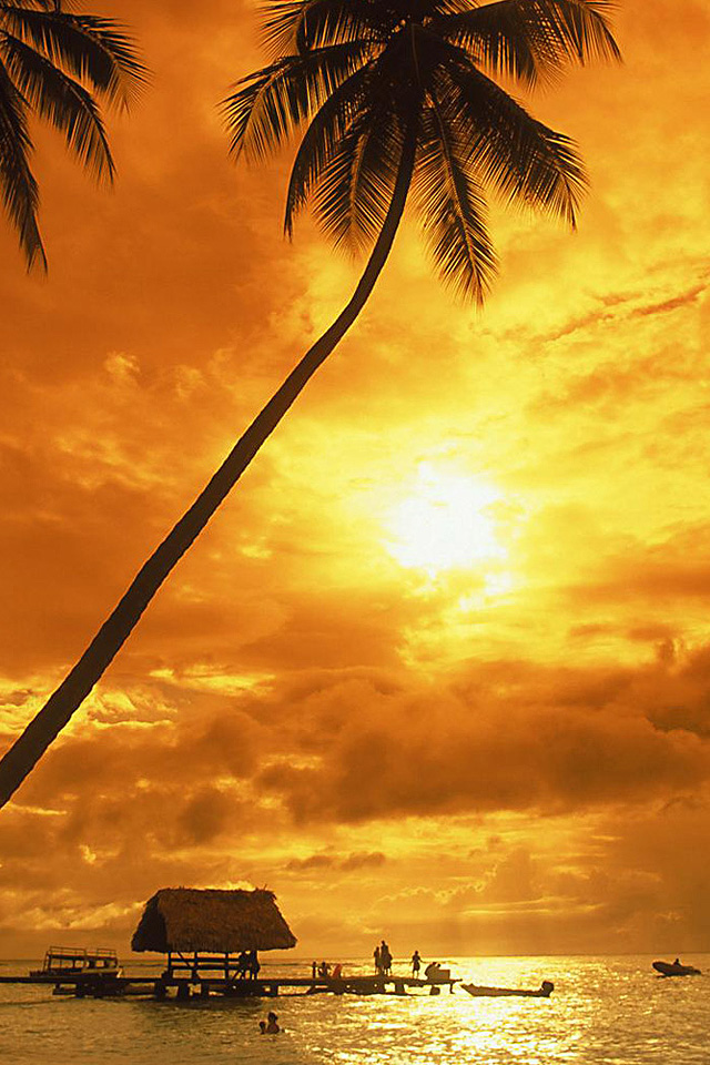 Tropical Beach Sunset Wallpaper