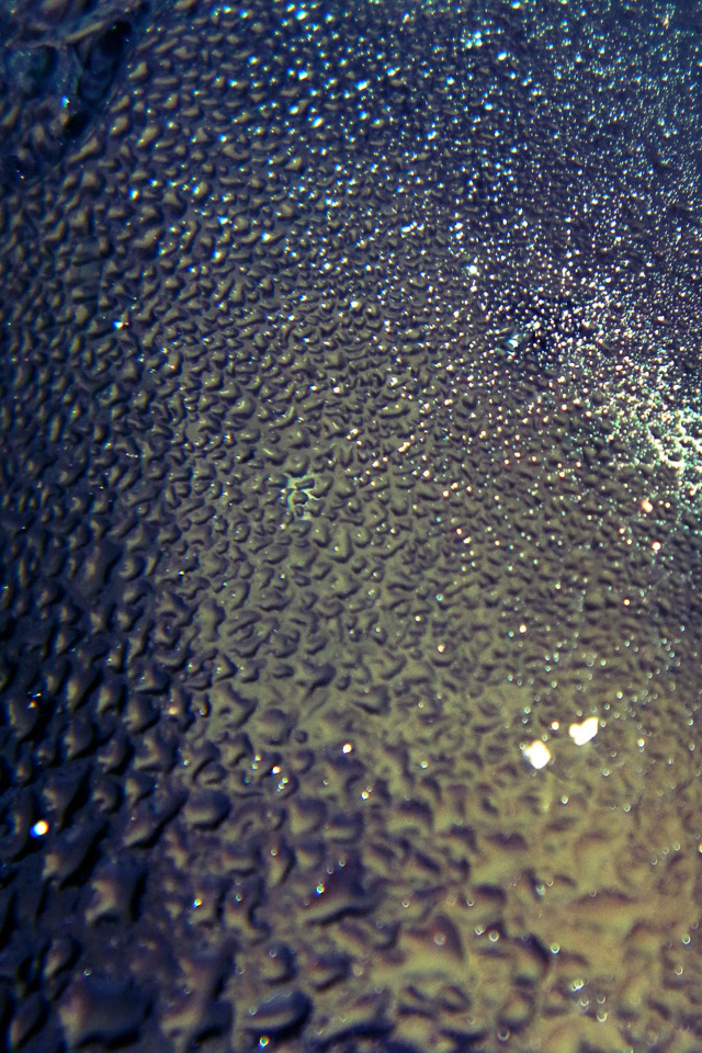 Water Drops Wallpaper